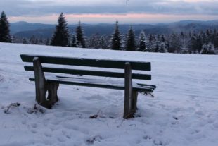 2020-12-28-ZE-UH-Ulrich Spitzmüller-Winterbilder von der Nill IMG_7147