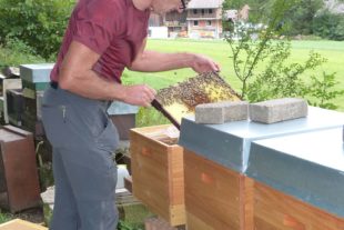 2020-12-30-OH-bia-Josef Ruf-Am Bienenstock