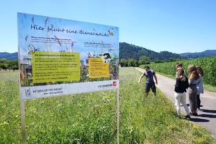 2020-12-4-BI-Knauer-Nominierung Nachhaltigkeitspreis-Hinweistafel