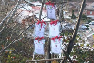 2020-12-4-NO-bia-Nordi-Erlebnisweg-Nordi-Station 2 Panorama