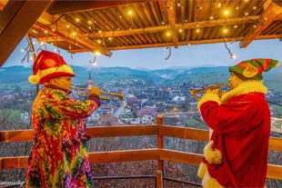 2020-12-7-OH-Robert Schwendemann-Pavillon-Konzert-226A1513