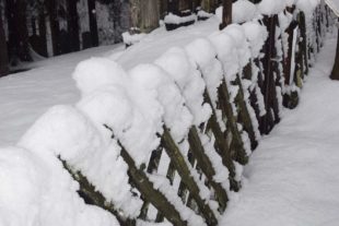 2021-1-18-NO-hv-Winterfreuden-DSC_1532