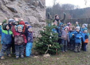 Es weihnachtete sehr…