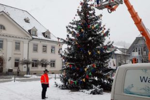 2021-1-22-BI-privat-Narrenbaum-Ortsmitte-PHOTO-2021-01-14-16-21-08