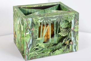 2021-1-25-BI-Karl Knauer- Dschungelvepackung ASAHEGO_EBV_1748x1748px