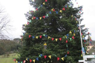 2021-1-25-BI-PB-lth-Narrenbaum Prinzbach-IMG_0868