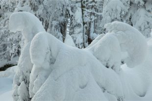 2021-1-29-OH-Robert Schwendemann-Winterbilder-5E0A7354 2