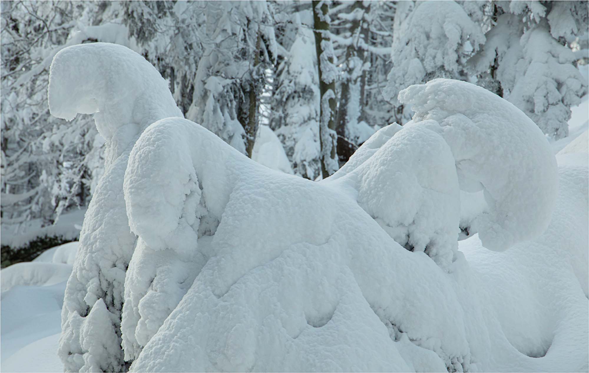 2021-1-29-OH-Robert Schwendemann-Winterbilder-5E0A7354 2