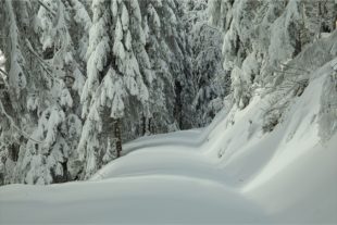 2021-1-29-OH-Robert Schwendemann-Winterbilder-5E0A7361 2