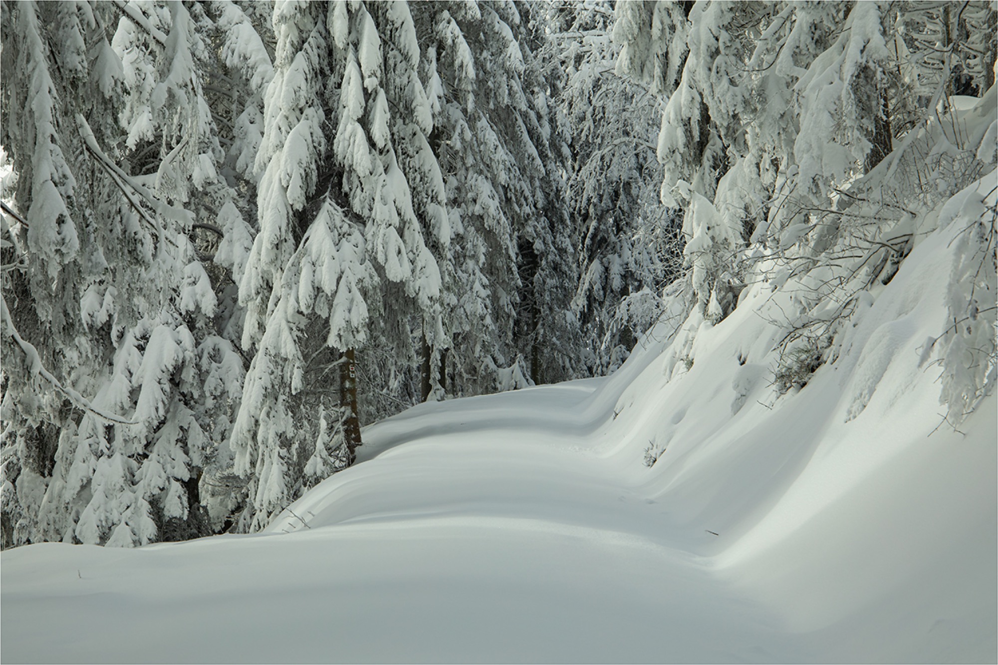 2021-1-29-OH-Robert Schwendemann-Winterbilder-5E0A7361 2