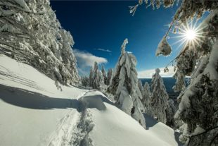 2021-1-29-OH-Robert Schwendemann-Winterbilder-5E0A7450 2