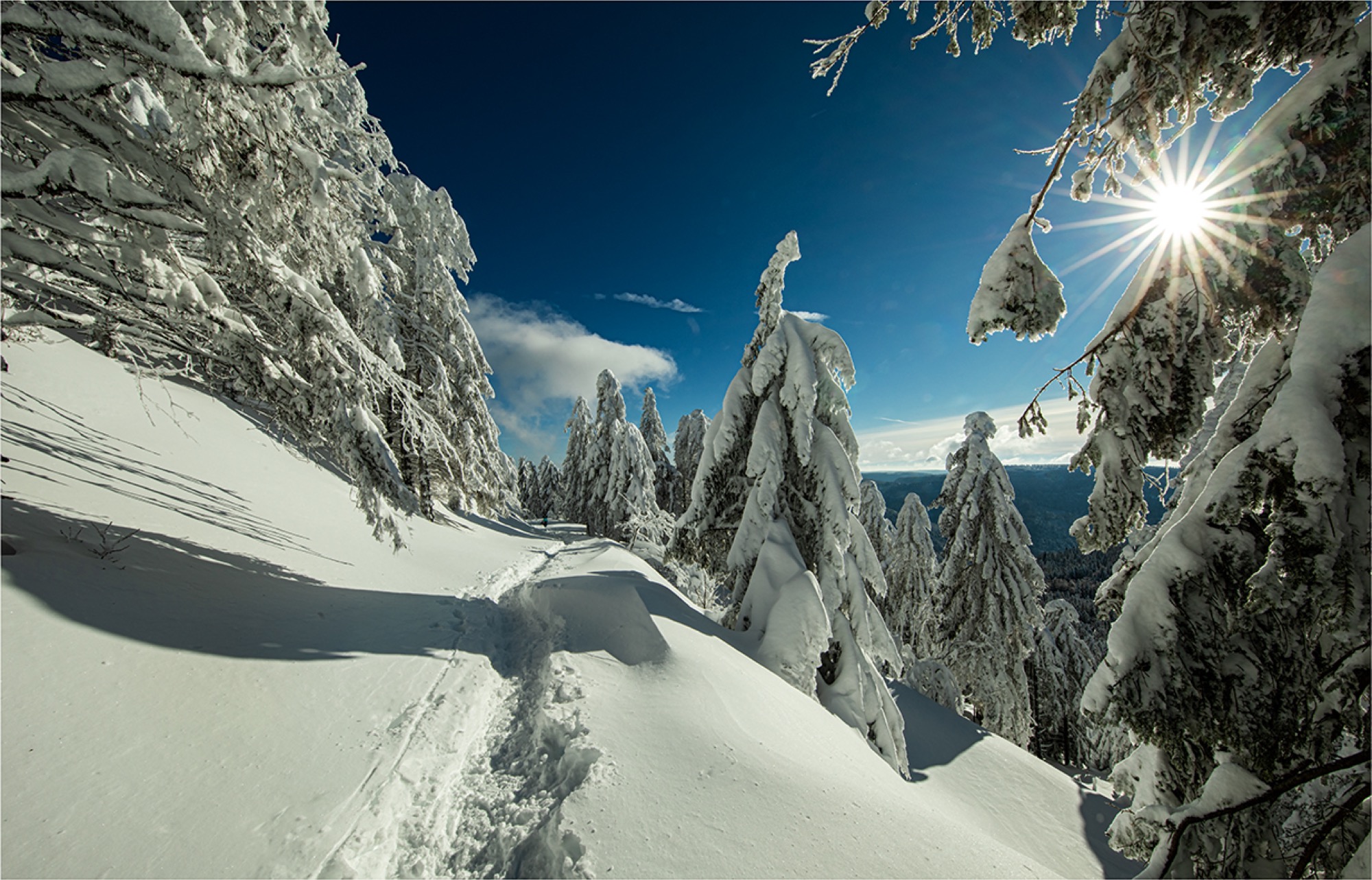 2021-1-29-OH-Robert Schwendemann-Winterbilder-5E0A7450 2