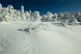 2021-1-29-OH-Robert Schwendemann-Winterbilder-5E0A7469 2