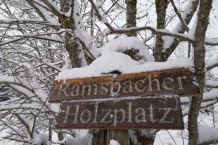 2021-1-4-NO-hps-Winter Moos-IMG_20210101_161358 2