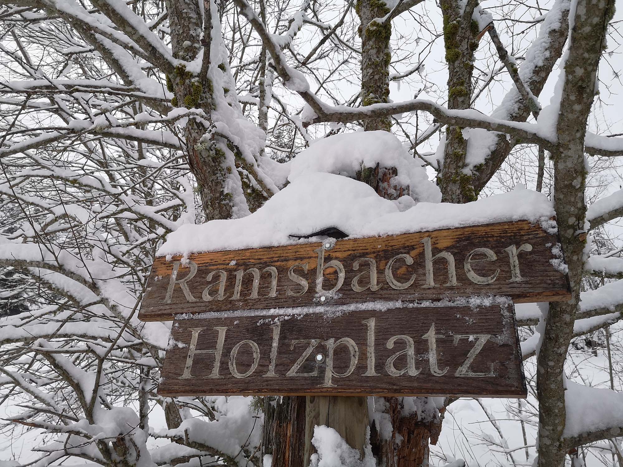 2021-1-4-NO-hps-Winter Moos-IMG_20210101_161358 2