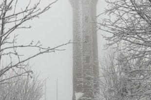 2021-1-4-NO-hps-Winter Moos-IMG_20210103_154441 2