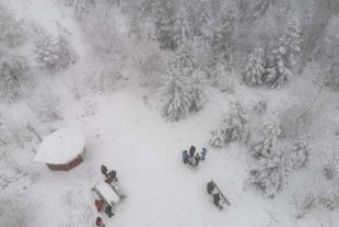 2021-1-4-NO-hps-Winter Moos-IMG_20210103_154835 2