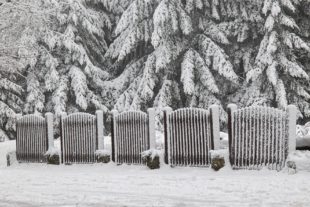 2021-1-8-OH-Robert Schwendemann-Winterbilder-226A3064