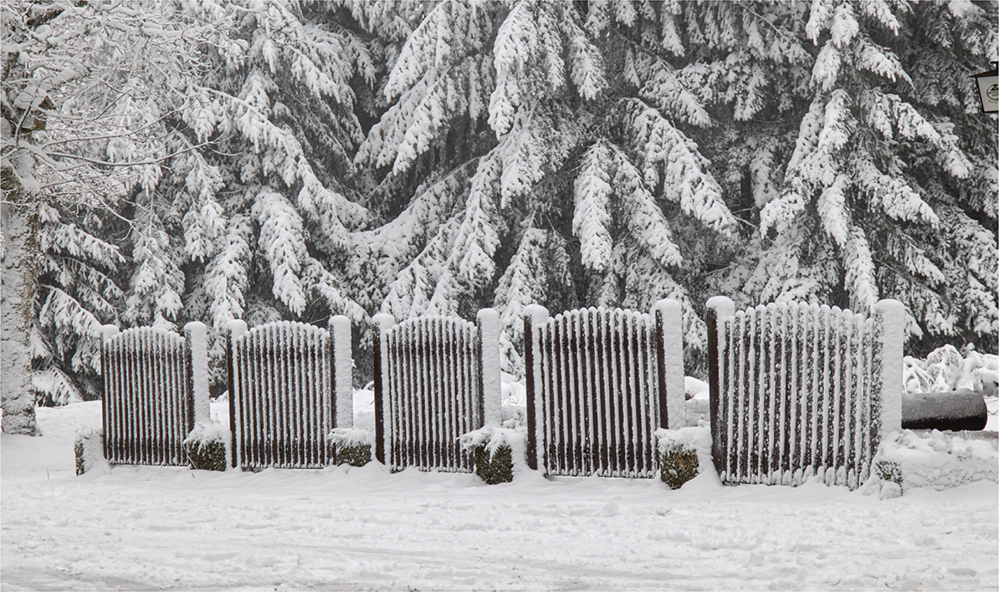 2021-1-8-OH-Robert Schwendemann-Winterbilder-226A3064