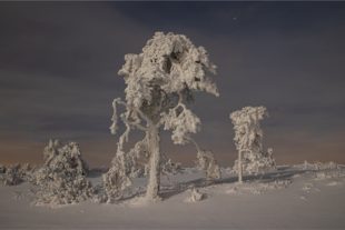 2021-1-8-OH-Robert Schwendemann-Winterbilder-226A3163