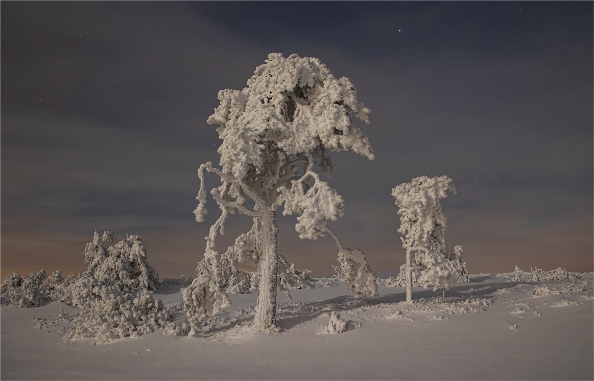 2021-1-8-OH-Robert Schwendemann-Winterbilder-226A3163