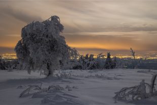 2021-1-8-OH-Robert Schwendemann-Winterbilder-226A3178