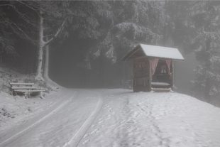 2021-1-8-OH-Robert Schwendemann-Winterbilder-226A3425