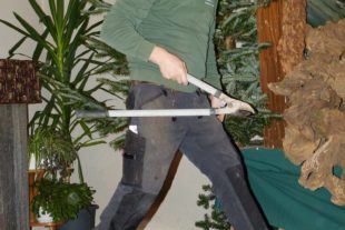 2021-1-8-OH-bia-Thomas Lehmann-u-Lehmann mit Astschere hoch