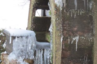 2021-2-12-ZE-ga-Winterbilder-IMG_6413