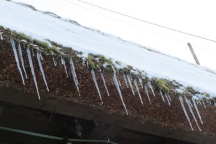 2021-2-12-ZE-ga-Winterbilder-IMG_6415