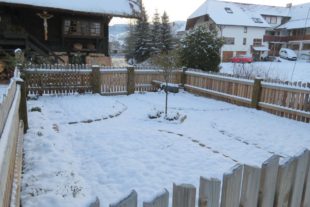 2021-2-12-ZE-ga-Winterbilder-IMG_6417