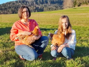 Schmiederer Früchteparadies bietet jetzt eigene Wieseneier an