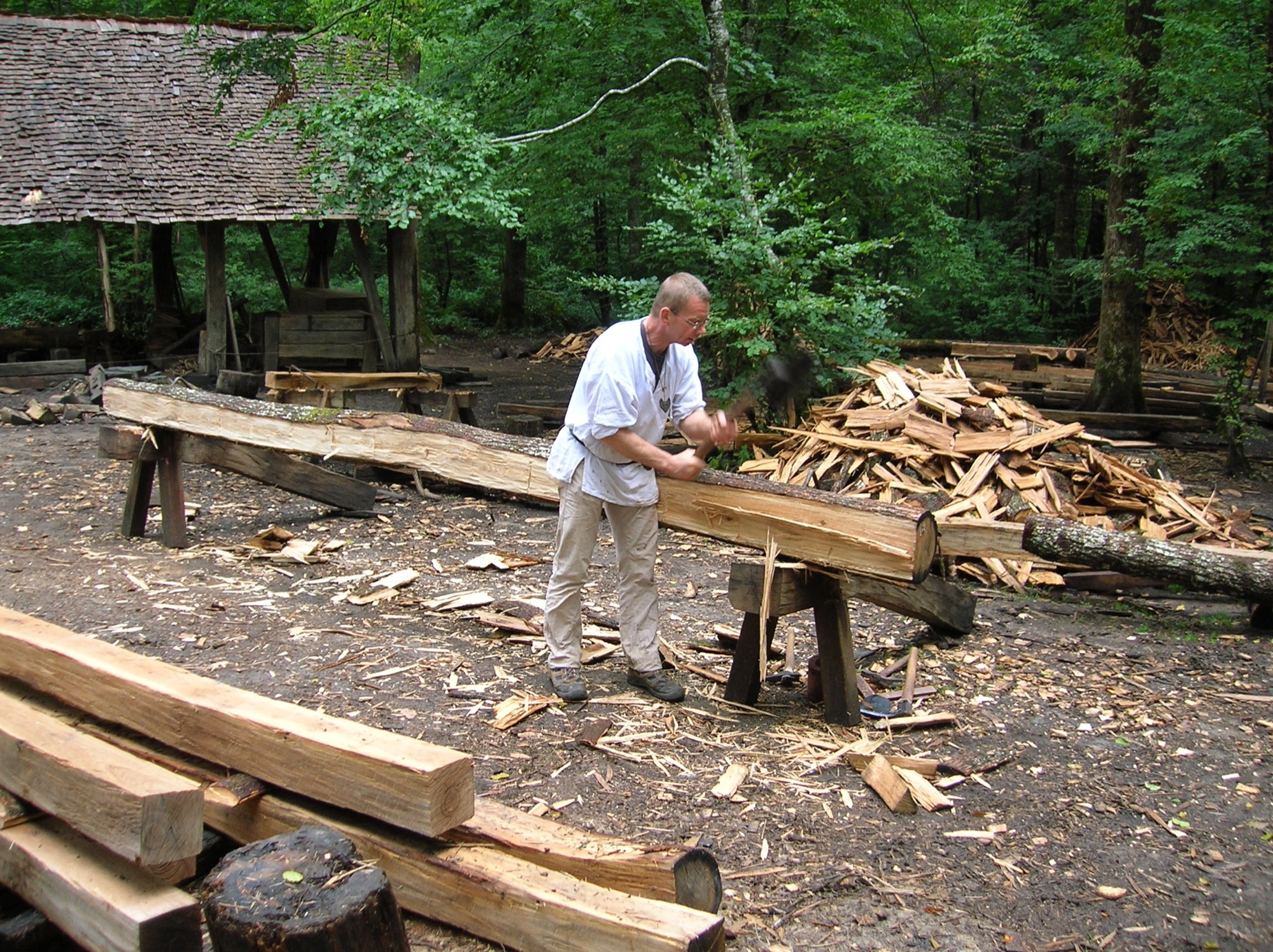2021-2-26-ZE-Manfred Oestreich-Der Schwarzwald-Guédelon (q) 100909