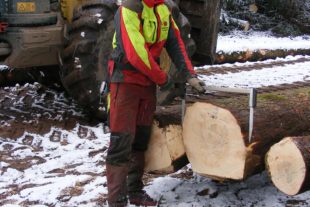 2021-2-26-ZE-Manfred Oestreich-Der Schwarzwald-Stammvermessung mit Kluppe 210127