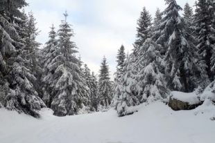 2021-3-22-ZE-Ulrich Spitzmüller-Frühlingsanfang-Brandenkopf
