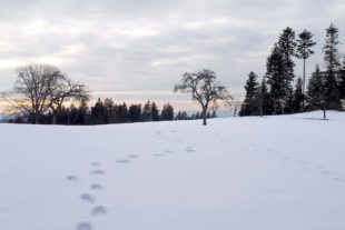 2021-3-22-ZE-Ulrich Spitzmüller-Frühlingsanfang-Durben