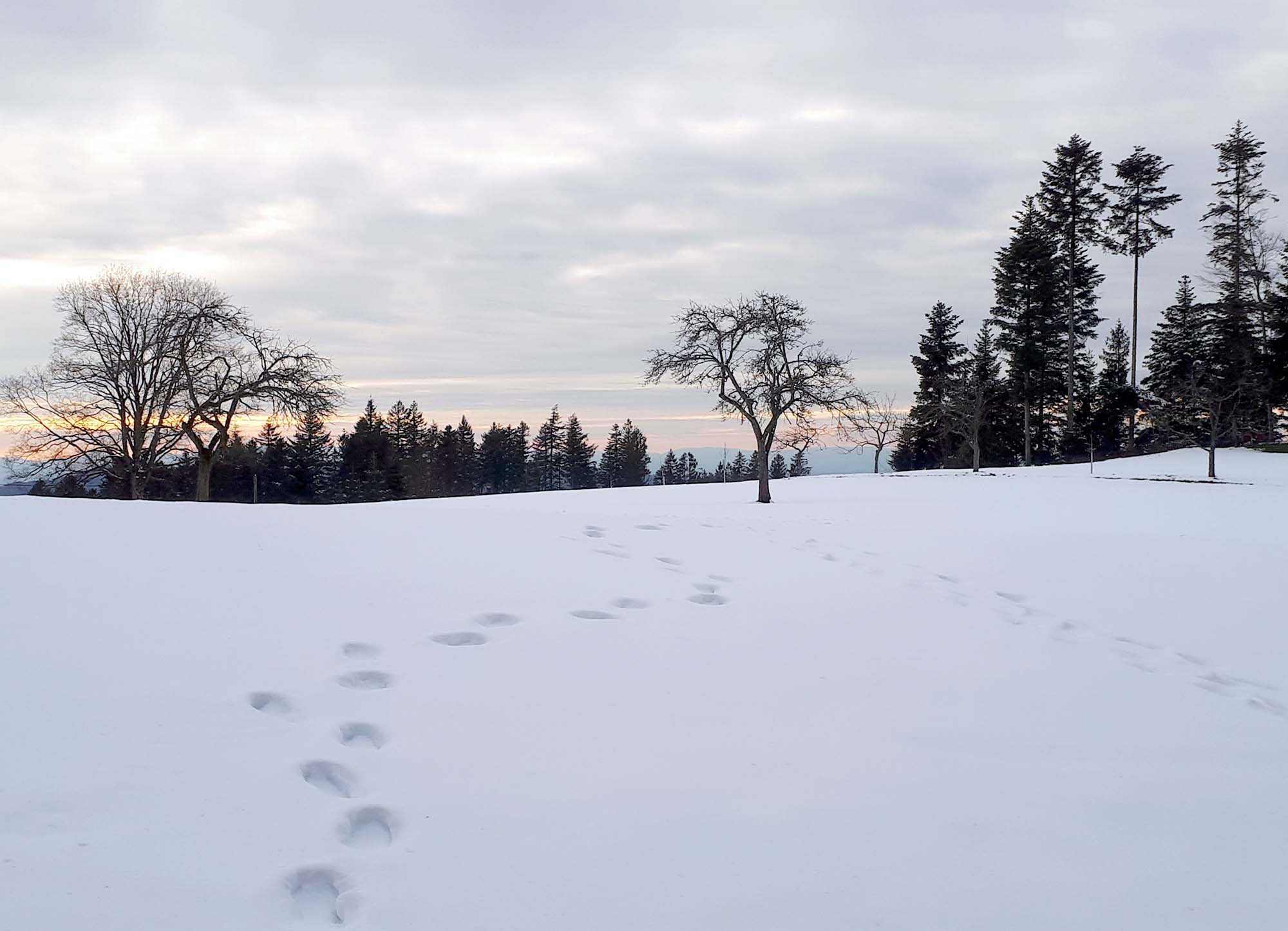 2021-3-22-ZE-Ulrich Spitzmüller-Frühlingsanfang-Durben