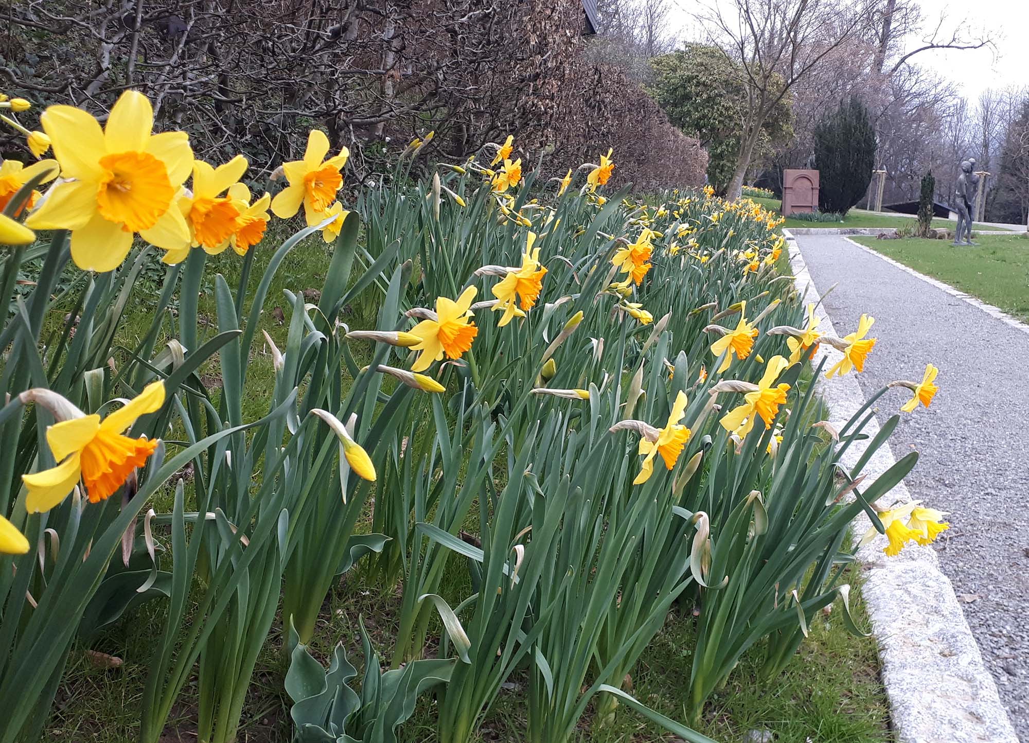 2021-3-22-ZE-Ulrich Spitzmüller-Frühlingsanfang-Stadtpark