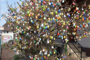 2021-3-26-BI-hps-Biberach-Ostermotive-DSC_9142 2