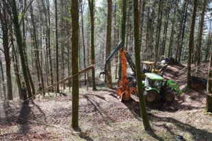 2021-3-29-OH-kal-Waldarbeit-zzvkMG8A7415