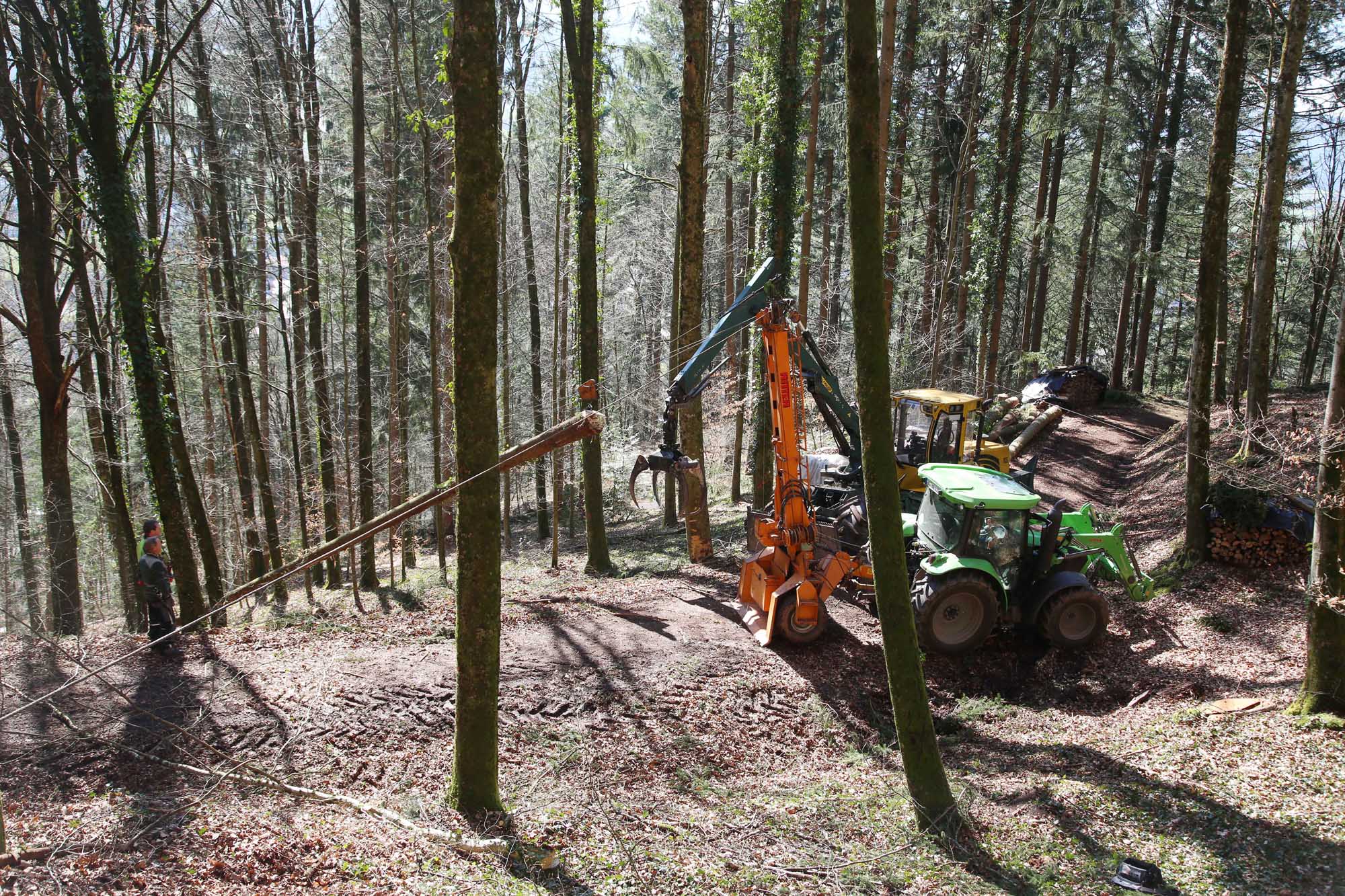 2021-3-29-OH-kal-Waldarbeit-zzvkMG8A7415