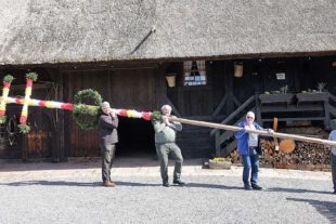 2021-3-30-ZE-Uh-hps-Fürstenberger Hof Palmen-DSC03869 (2)