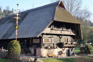 2021-3-30-ZE-Uh-hps-Fürstenberger Hof Palmen-DSC03902 (2)