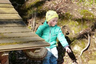 2021-3-8-OH-Tourist-Info-Bärlauchwochen-Bärlauch sammeln können bereits die Kleinsten.