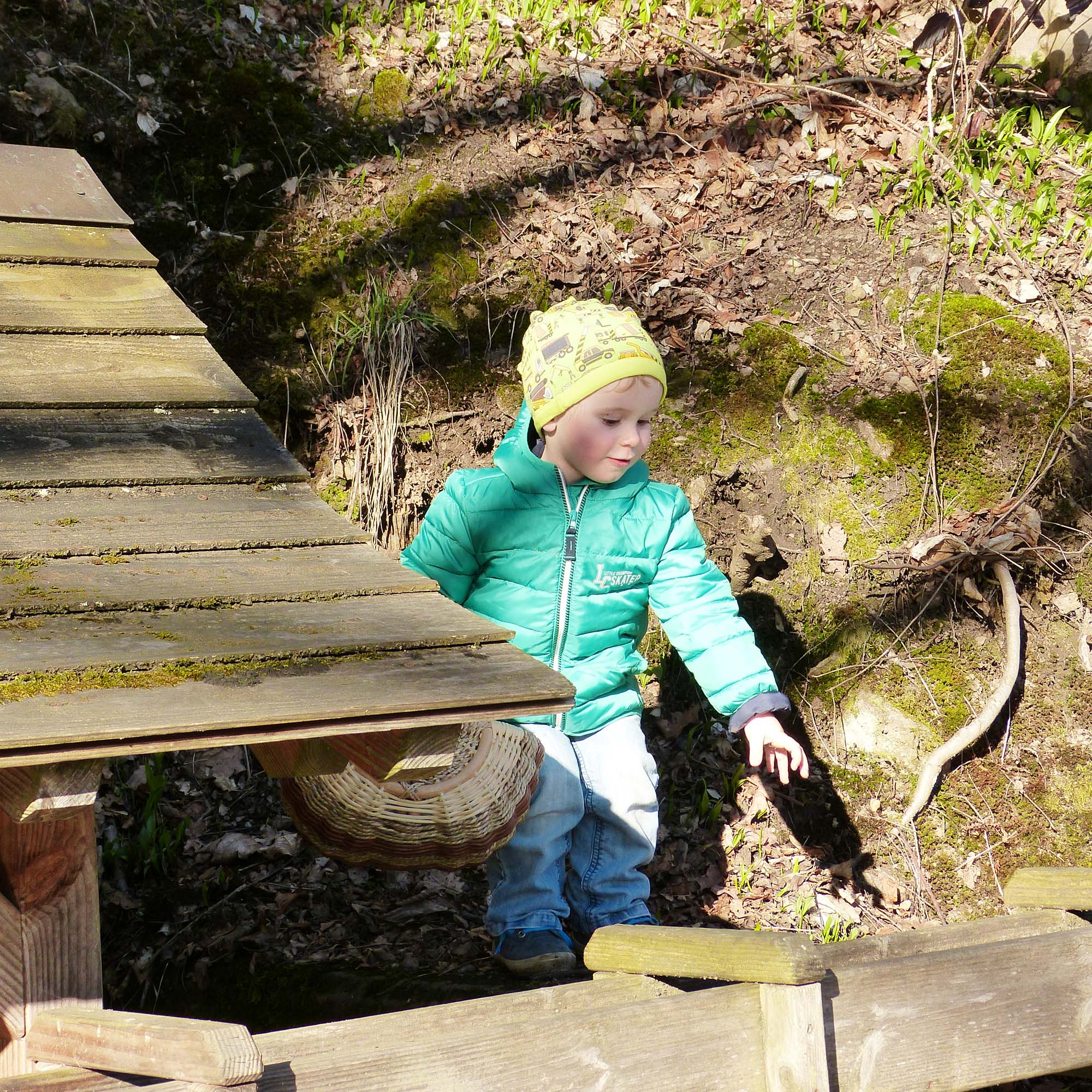 2021-3-8-OH-Tourist-Info-Bärlauchwochen-Bärlauch sammeln können bereits die Kleinsten.