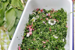 2021-3-8-OH-Tourist-Info-Bärlauchwochen-Kräuter- und Bärlauchgenuss in Oberharmersbach