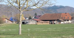 Rückblick: Ein Jahr Corona