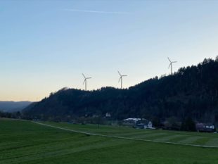 Windpark Badwald kommt
