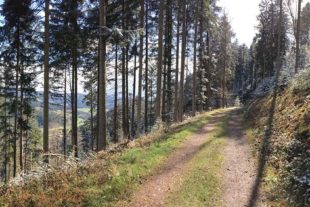 2021-4-12-ZE-UH-as-Trailrun- IMG_2877