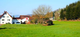 Vorderhambach bleibt wie er ist